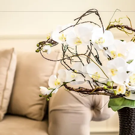 Хотел палас марина диневи Свети Влас