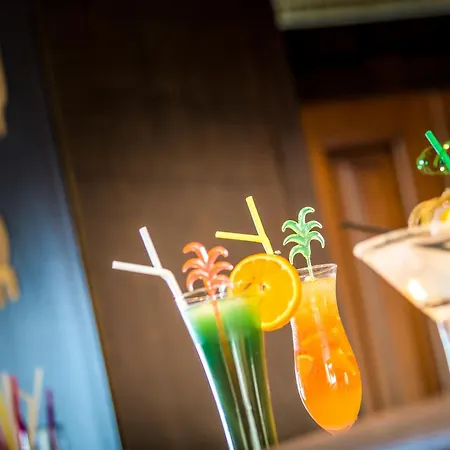 палас марина диневи Хотел